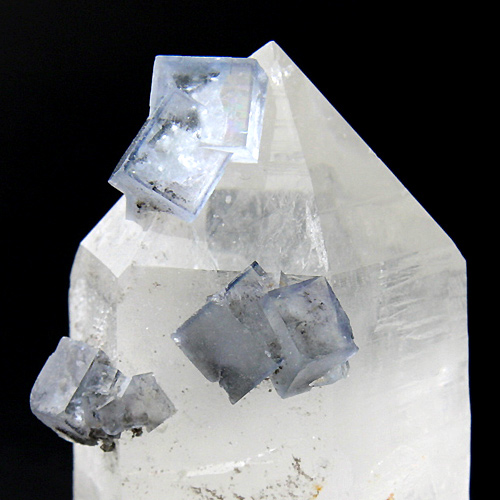 立方体のフローライトが水晶表面に成長しています